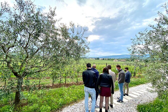 Discover the Amarone wine: 1 winery with delicious food pairing - What you learn when the winemaker leads the tour
