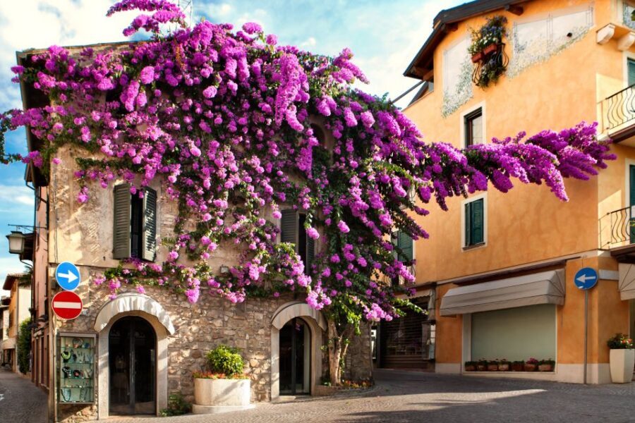 From Verona: discover Lake Garda and Sirmione private tour - Who This Verona to Lake Garda Tour Fits Best