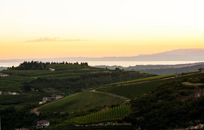 Pagus Wine Tours® - A taste of Amarone - Half day wine tour - Key things that make this tour worth your time