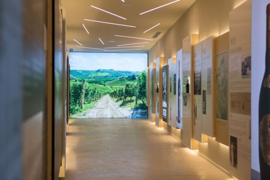 Secret journey between prosecco, lugana and white wines - Your 90 minutes: what’s actually included