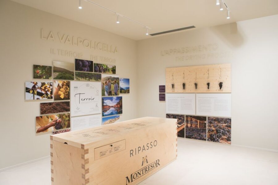 Verona: Montresor Winery Visit with Wine Tasting and Snacks - Key highlights worth planning for