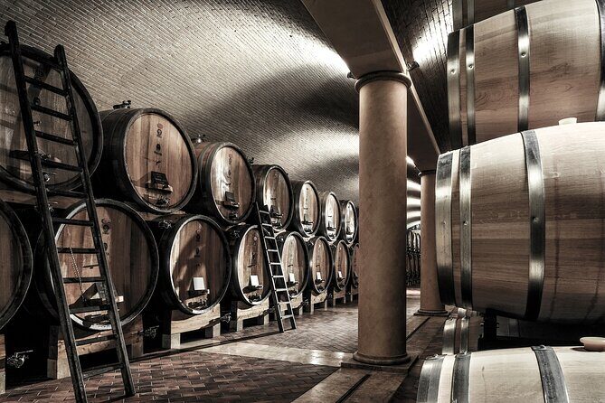 Vineyard Tour with Light Lunch in Valpolicella - Who This Tour Suits Best (and Who Might Skip It)